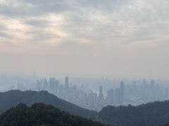 -大金鹰园