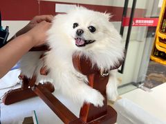 -御宝贝24h宠物医院·转诊中心·CT核磁血透中心(厦门总院)