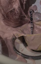 -蚂蚁造型俱乐部