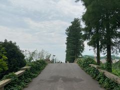 -乌村