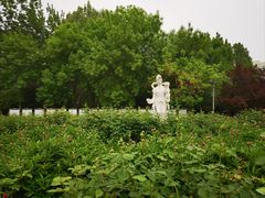 -丰台花园