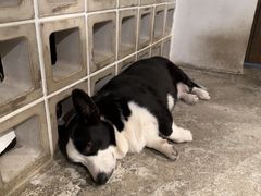 -自由生长植物工作室(深港花卉中心店)