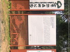 -东郊湿地公园