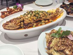 -新侨小馆(东直门北小街店)