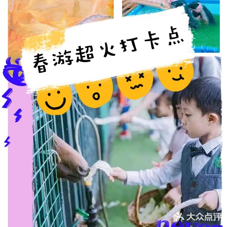 春天必不可少的带宝宝去春游，想好去哪里来吗？