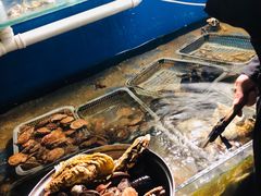 -海帮主·蒸汽海鲜青岛菜(栈桥火车站店)