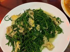 -范记靖远羊羔肉(博物馆店)