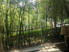-泰安东尊华美达广场酒店·自助餐厅