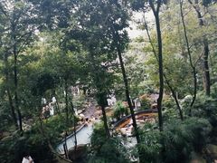 -融汇温泉