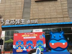 -盒马鲜生(大成店)