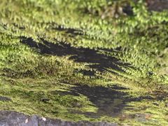 -汉中石门栈道景区