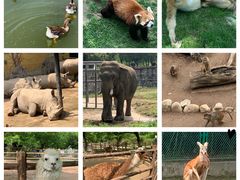 -西安秦岭野生动物园