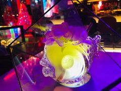 -甜喵酒吧(茂业店)