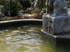 室外温泉-太白山御龙湾温泉