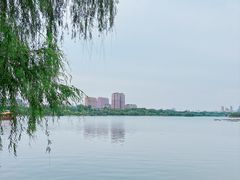 -济南大明湖景区