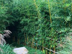 -竹子庵公园