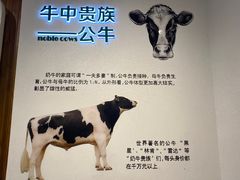 -君乐宝优致牧场