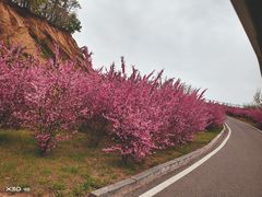 -大连铭湖国际观光牧场