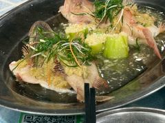-石岐乳鸽村(南海第三分店)