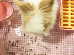 -后海16号·北京私房菜