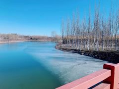 -大兴滨河森林公园