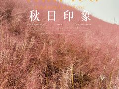 -嘉北郊野公园