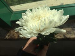 iphone_upload_pic-上海市宝兴殡仪馆