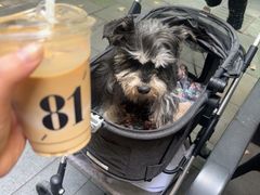 -81BAKERY(大学路店)