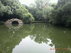 android_upload_pic-绮园景区