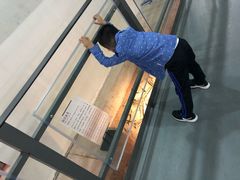 -南越王博物院(王宫展区)