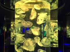 -南昌海洋公园