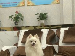 -创新足专业修脚(龙荷路店)