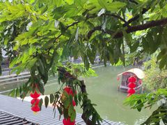 -侨美·唐荔园·40年地道粤菜