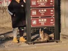 -清风小镇闯关东影视基地