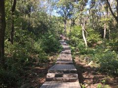 -南京老山国家森林公园