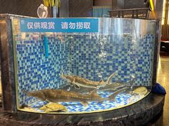 -喜庭海鲜自助(北辰三角洲北辰荟店)