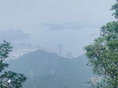 -梧桐山风景名胜区