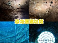 -中国西峡恐龙遗迹园