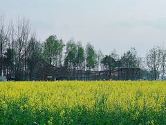 -中国天府农业博览园