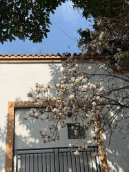 -莲生母婴月子中心(清水河公园店)