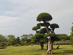 -南宁南湖公园