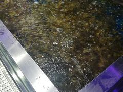 -盒马鲜生(莱蒙都会店)