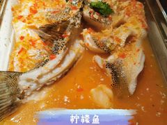 -佬肥猫(国华广场店)