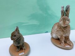 -国家自然博物馆