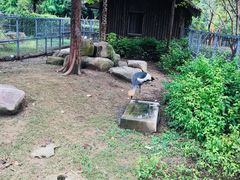 -上方山森林动物世界