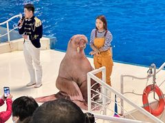 -泉城欧乐堡海洋极地世界