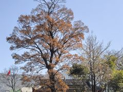 -绩溪龙川景区