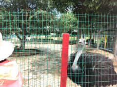 -武汉紫薇都市田园