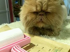 -小时光咖啡馆(开森度假森林店)