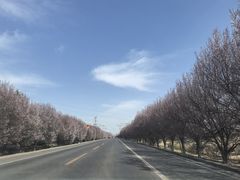 -晋国博物馆